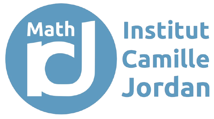 This workshop is supported by the Institut Camille Jordan